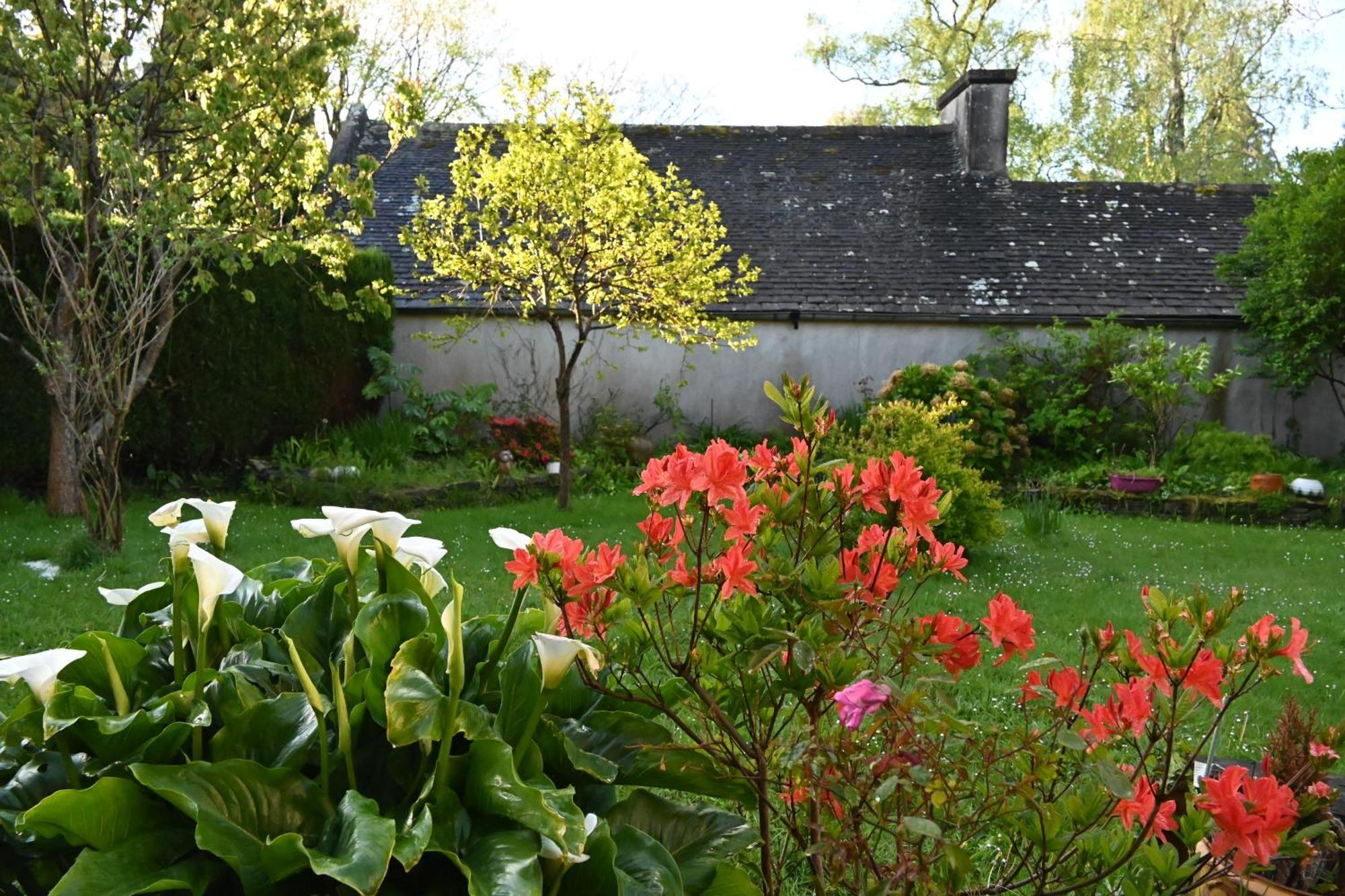 Apartamento Jardin Madeleine Morlaix Exterior foto