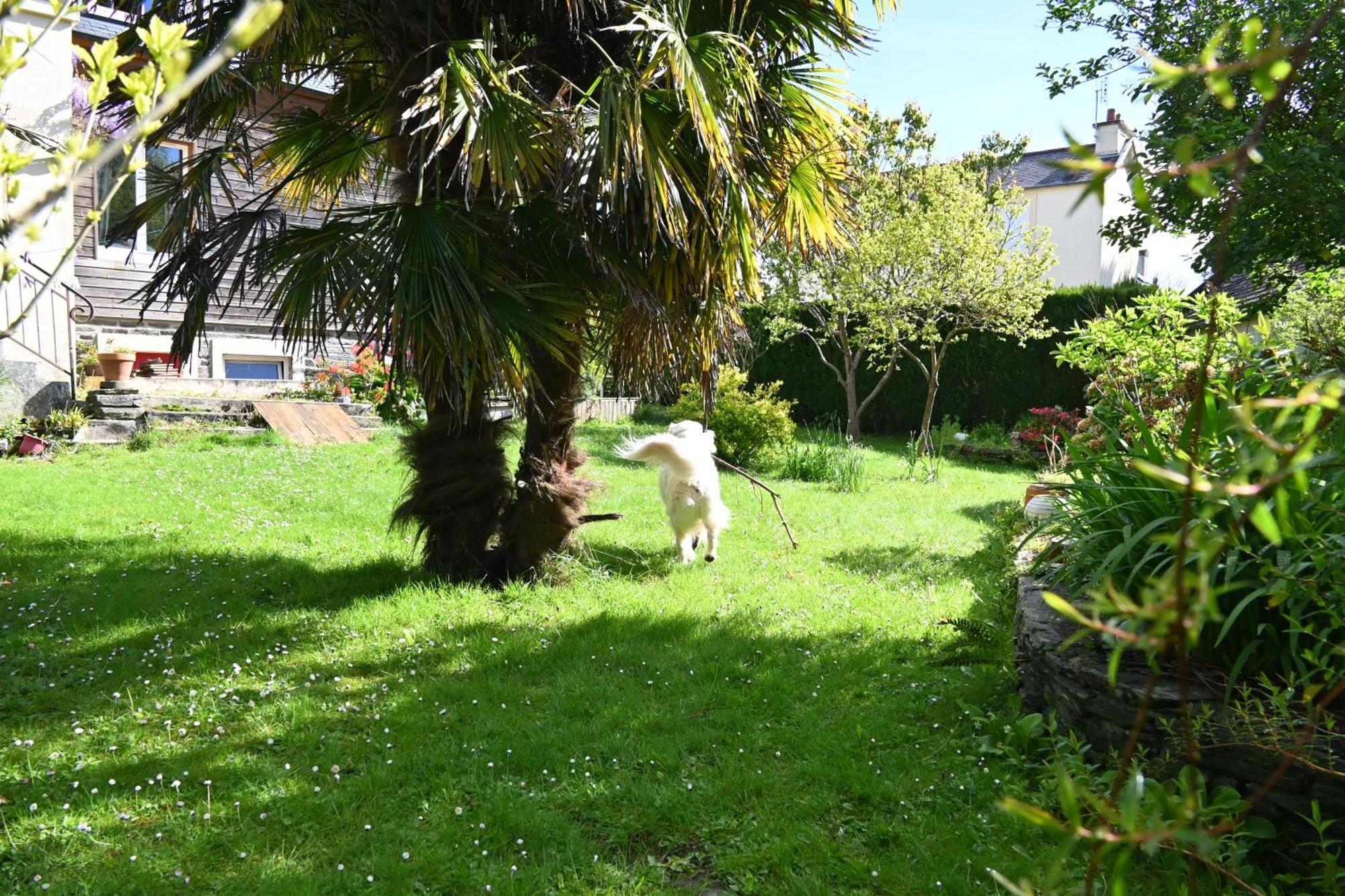 Apartamento Jardin Madeleine Morlaix Exterior foto